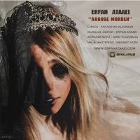 Erfan Ataaei