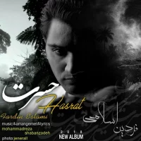 Fardin Eslami