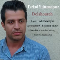 Farhad Mohamadpour
