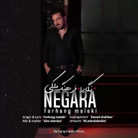 Farhang Maleki