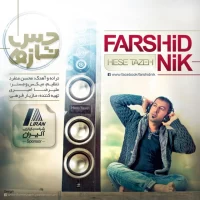 Farshid Nik