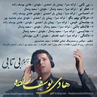 Hadi Yousefzadeh