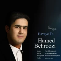 Hamed Behroozi