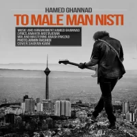Hamed Ghannad