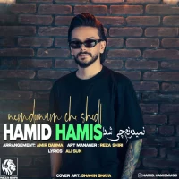 Hamid Hamis
