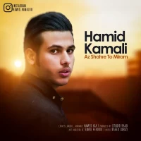 Hamid Kamali