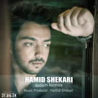 Hamid Shekari