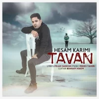 Hesam Karimi
