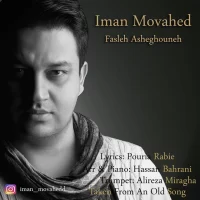 Iman Movahed