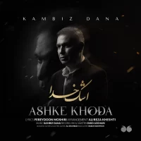 Kambiz Dana