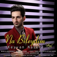 Keyvan Naseri