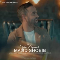 Majid Shoeib