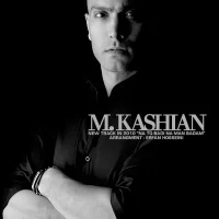 Mehdi Kashian