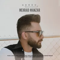 Mehrad Manzar