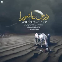 Mehrdad Banaei