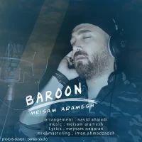 Meisam Aramesh