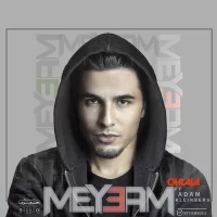 Meysam Sam