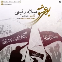 Milad Rafiei