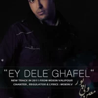 Moein Valipour