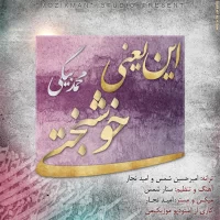 Mohamad Beygi
