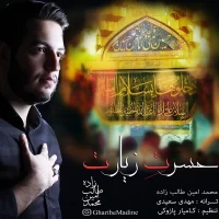 Mohammad Amin Talebzadeh