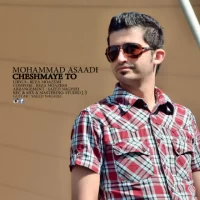 Mohammad Asaadi