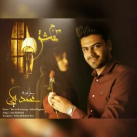 Mohammad Beigi