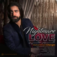 Mohammad Changizi