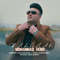 Mohammad Farid