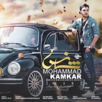 Mohammad Kamkar