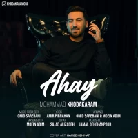Mohammad Khodakaram