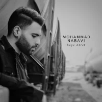 Mohammad Nabavi