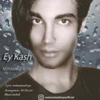 Mohammad Roya
