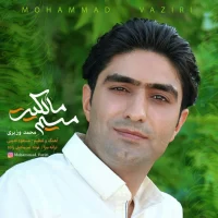 Mohammad Vaziri