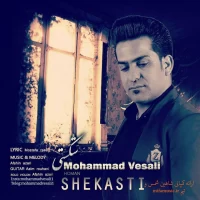 Mohammad Vesali
