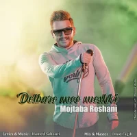 Mojtaba Roshani