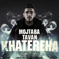 Mojtaba Tavan