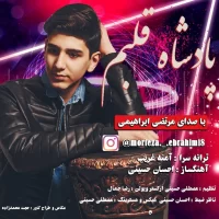 Morteza Ebrahimi