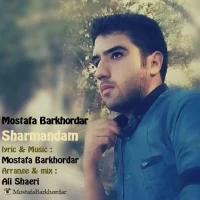 Mostafa Barkhordar