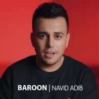 Navid Adib