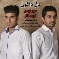 Navid Salar