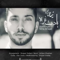 Nima Alinejad