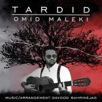 Omid Maleki