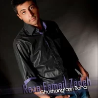 Reza Esmail Zadeh