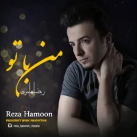 Reza Hamoon