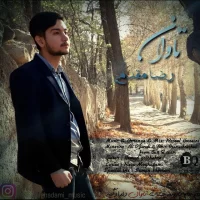 Reza Moghdami