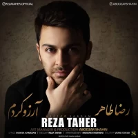 Reza Taher