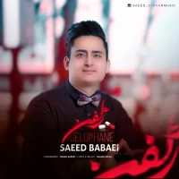 Saeed Babaei