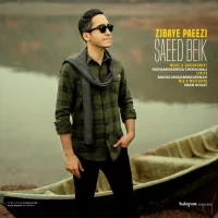 Saeed Beik