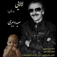 Saeed Dabiri
